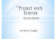 Project Work- Guigli Loretta