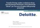 Project Work ipe-Deloitte
